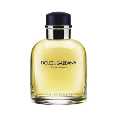 Dolce & Gabbana Pour Homme Eau de Toilette for Men