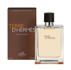 Hermes Terre D'Hermes Eau de Toilette for Men